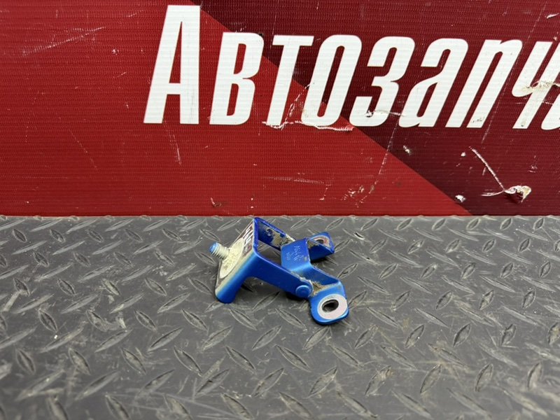 Петля двери багажника