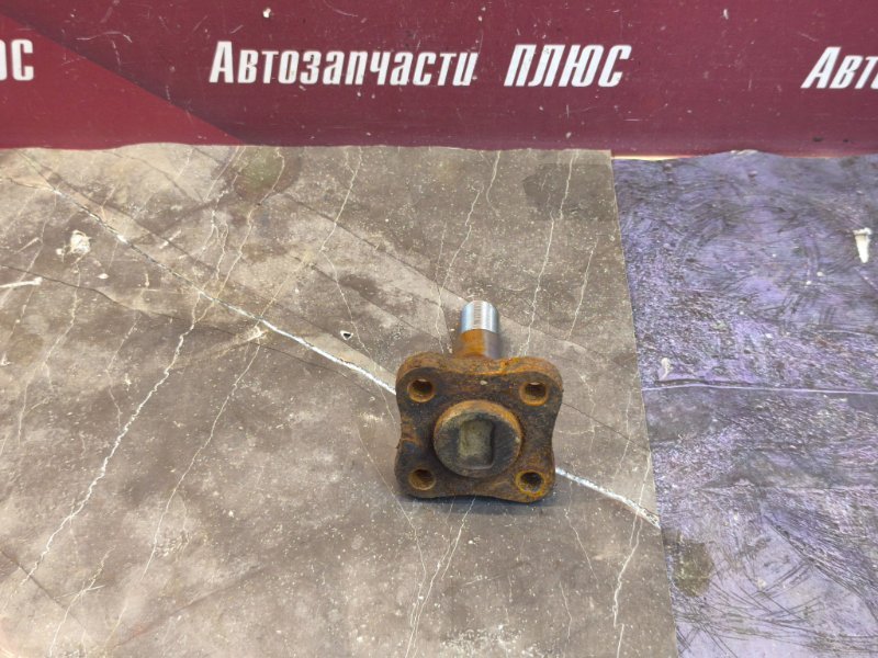 Цапфа