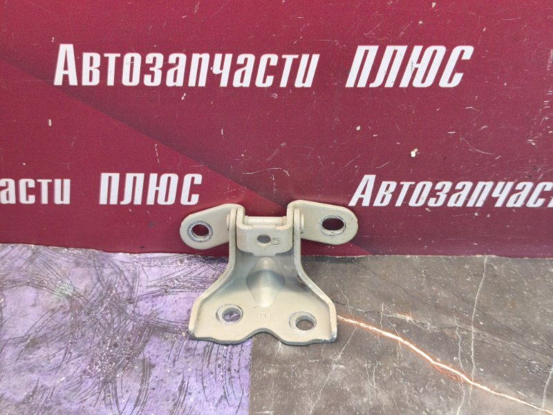 Петля двери