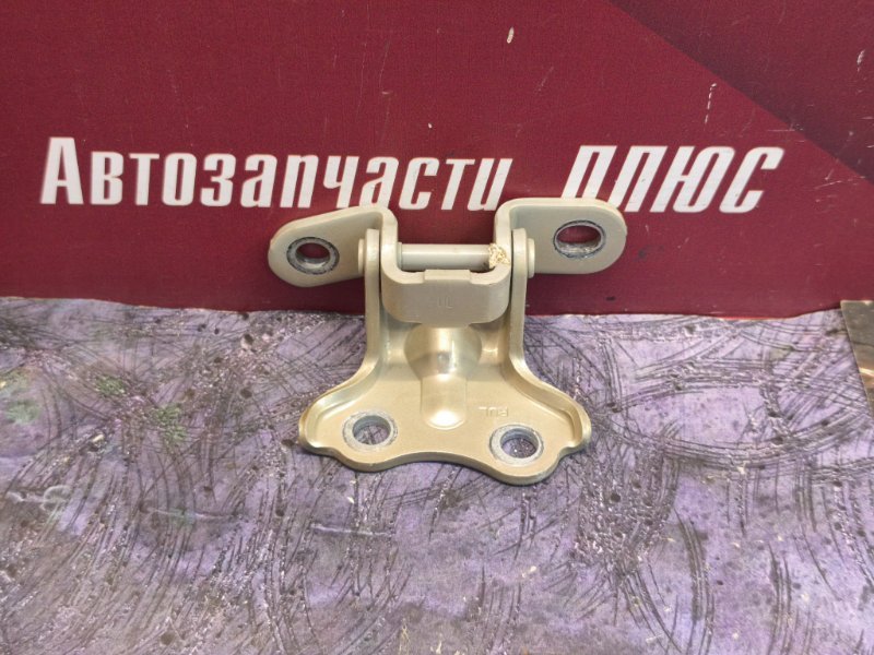 Петля двери