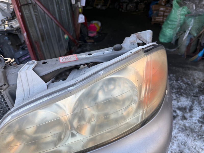 Nose cut CEFIRO A33