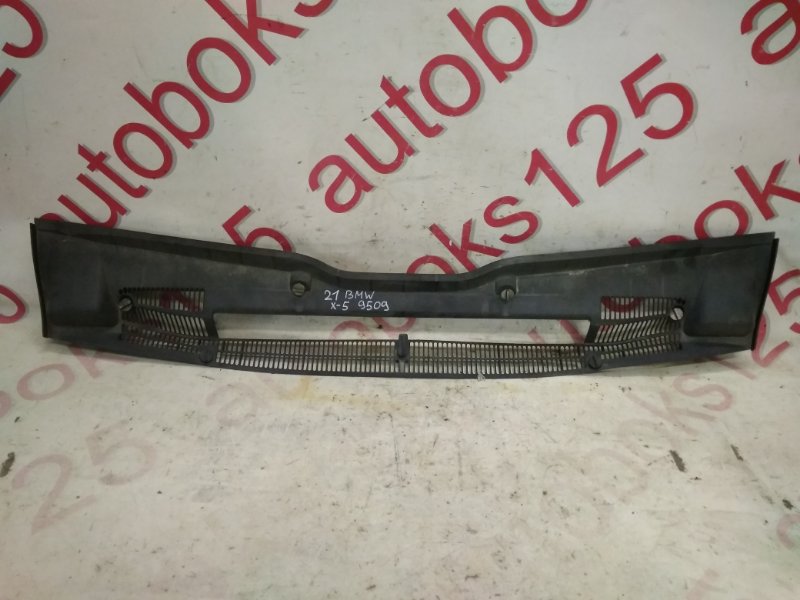 Жабо BMW X5 2006 E53 M54B30 64318409048 контрактная