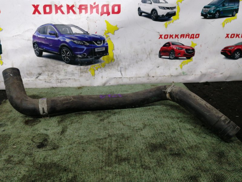 Патрубок радиатора Nissan Primera QP12 QG18DE