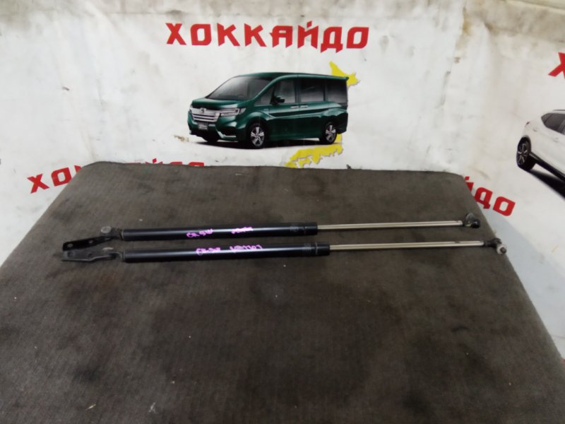 Амортизатор багажника Mitsubishi Dion CR9W 4G63 01.2000