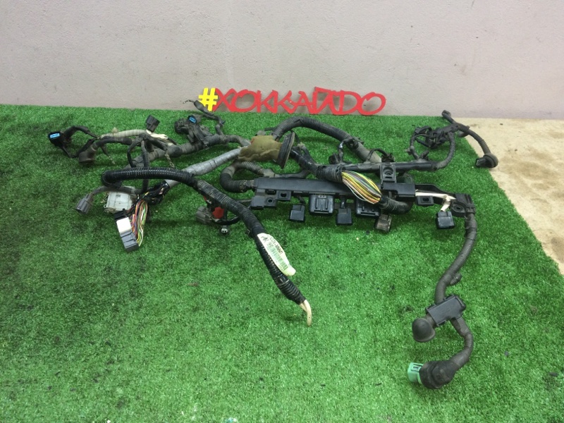 Электропроводка мотора Honda Civic Ferio ES3 D17A 09.2000