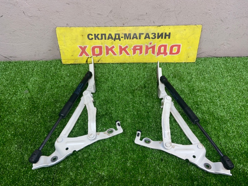 Петля крышки багажника Mazda Axela BL6FJ Z6 09.2011