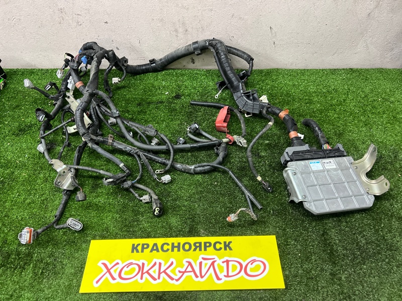 Электропроводка мотора Toyota Noah ZRR70G 3ZR-FE 06. 2007