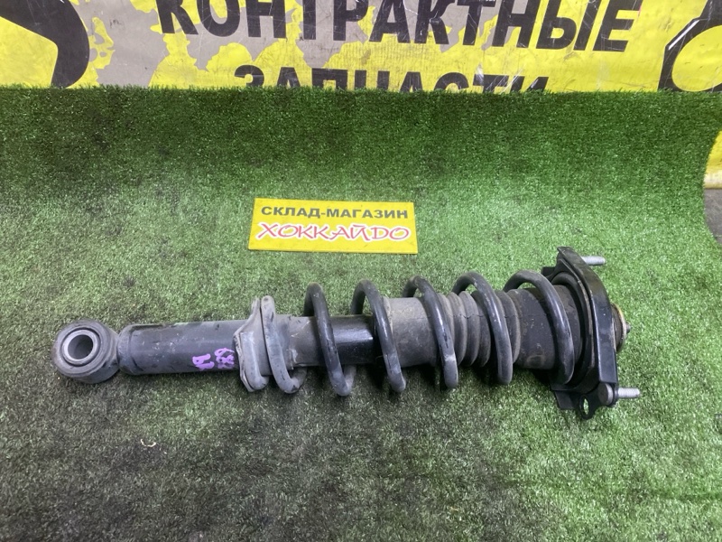 Стойка подвески Toyota Wish ZNE10G 1ZZ-FE 01.2003 задняя правая