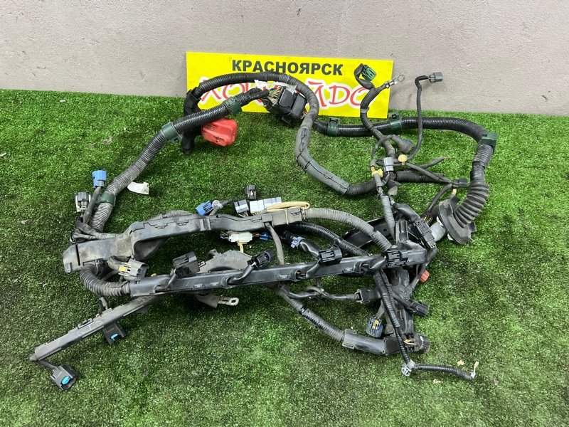 Электропроводка мотора Honda Elysion RR1 K24A 05.2004