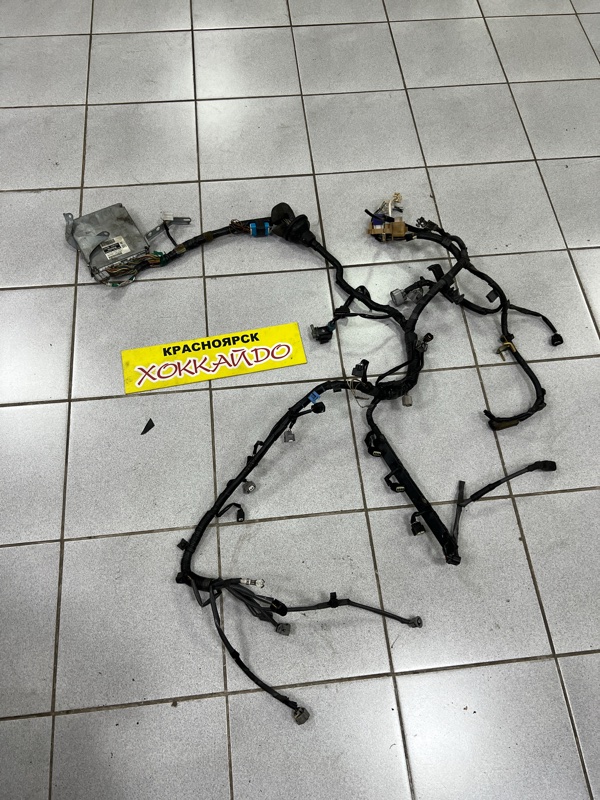 Электропроводка мотора Toyota Opa ZCT10 1ZZ-FE 05.2000 (б/у)