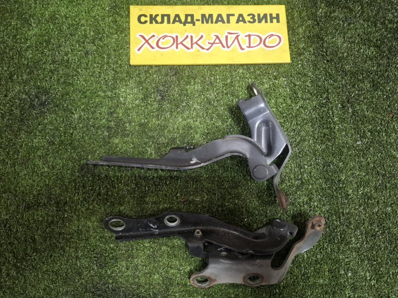 Петля капота Toyota Nadia SXN10 3S-FE 08.1998 (б/у)