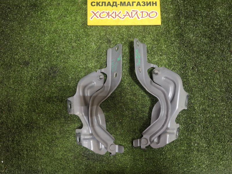 Петля капота Nissan Murano TZ51 QR25DE 09.2008 (б/у)