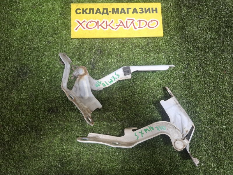 Петля капота Toyota Ipsum SXM10G 3S-FE 04.1998 (б/у)
