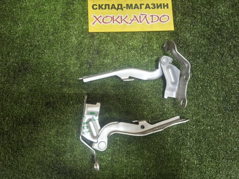 Петля капота Toyota Nadia SXN10 3S-FE 08.1998 (б/у)