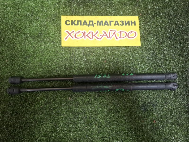 Амортизатор капота Nissan Murano TZ51 QR25DE 09.2008 (б/у)