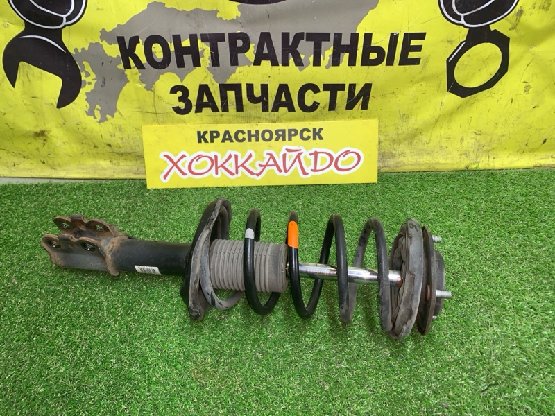 Стойка подвески Toyota Nadia SXN10 3S-FE 08.1998 передняя левая (б/у)