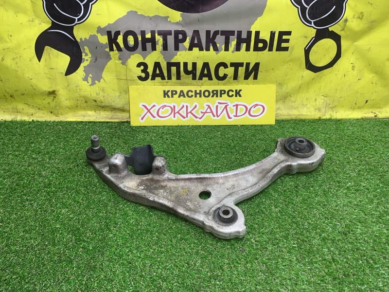 Рычаг подвески нижний Nissan Murano TZ51 QR25DE 09.2008 передний правый (б/у)