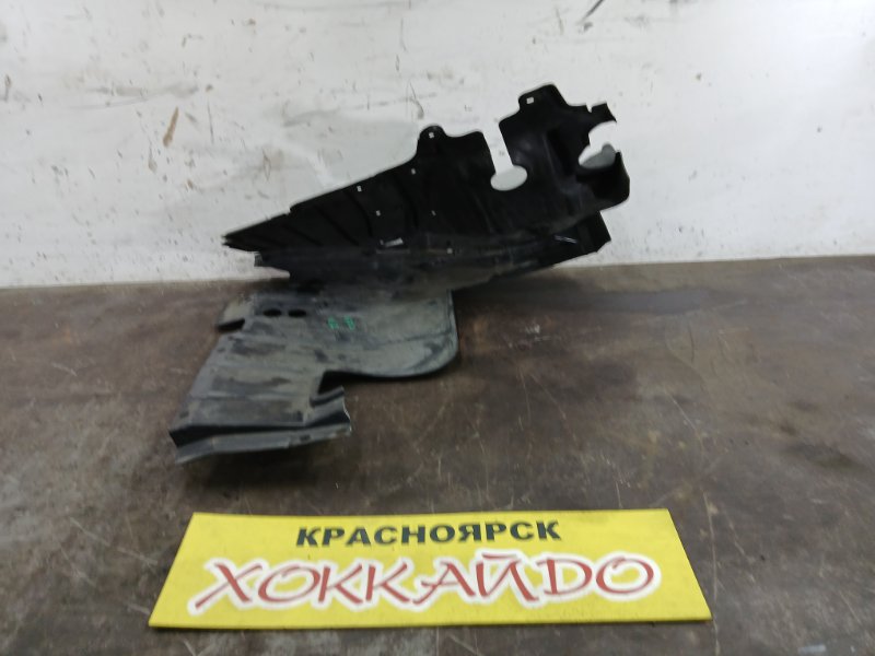 Защита ДВС Mitsubishi Dion CR9W 4G63 01.2000 правая (б/у)