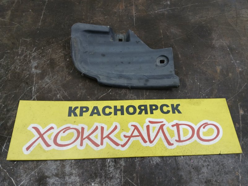 Подкрылок Toyota Wish ZNE10G 1ZZ-FE 09.2005 задний левый (б/у)