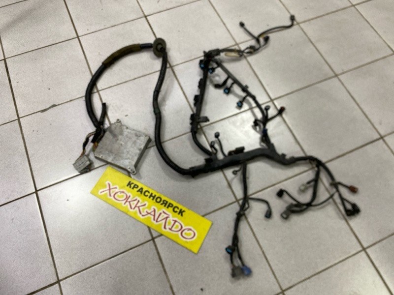 Электропроводка мотора Honda Stepwgn RF3 K20A 06.2003 (б/у)