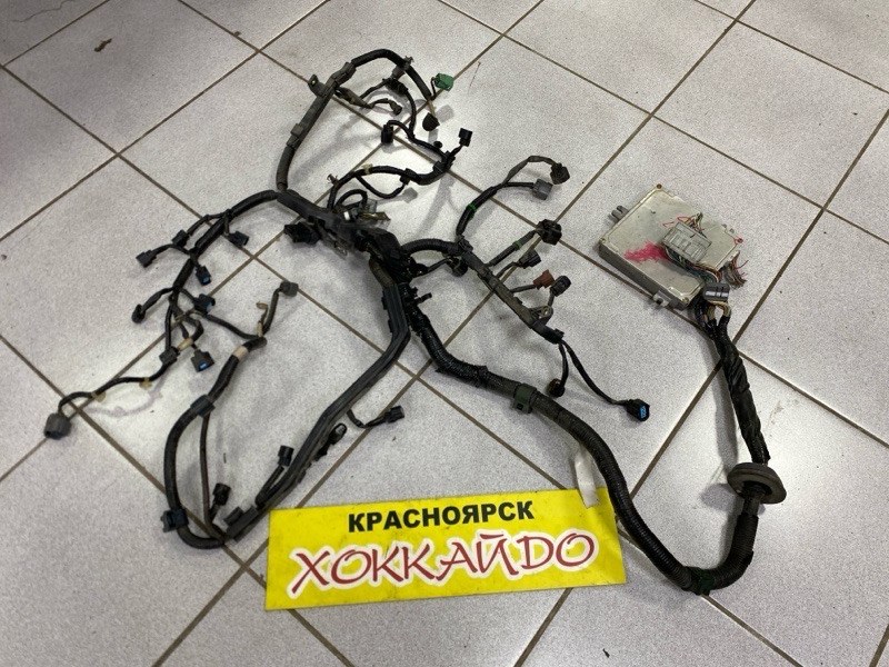 Электропроводка мотора Honda FIT GD1 L13A 06.2001 (б/у)