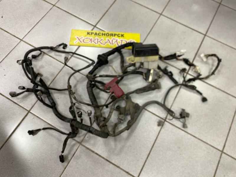 Электропроводка мотора Toyota Probox NCP51V 1NZ-FE 07.2002 (б/у)