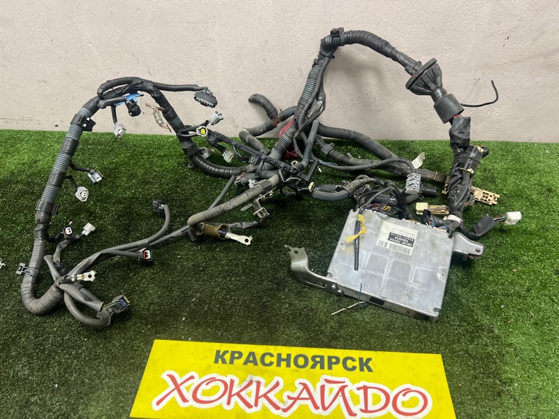 Электропроводка мотора Toyota Wish ZNE10G 1ZZ-FE 09.2005 (б/у)