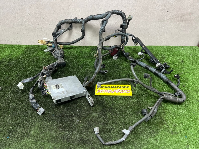 Электропроводка мотора Toyota Wish ZNE10G 1ZZ-FE 01.2003 (б/у)