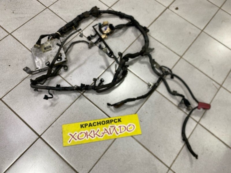 Электропроводка мотора Toyota Wish ZNE10G 1ZZ-FE 09.2005 (б/у)