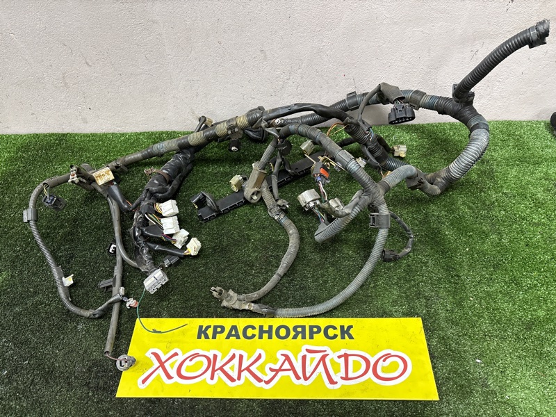 Электропроводка мотора Toyota Wish ZNE10G 1ZZ-FE 01.2003 (б/у)