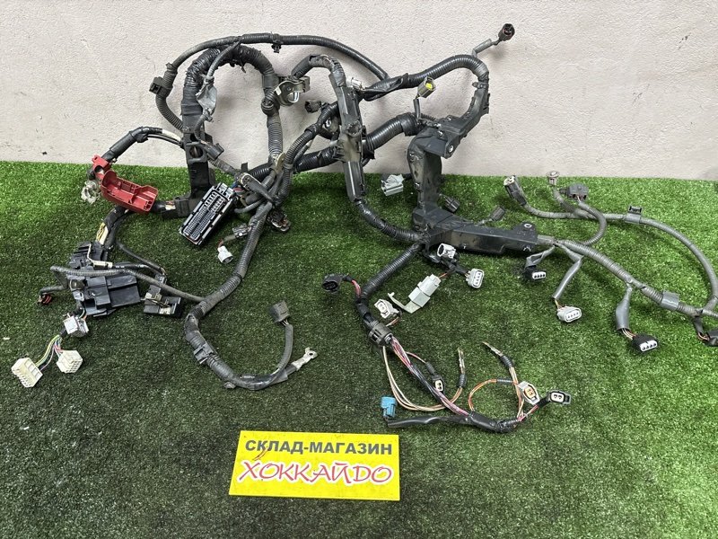 Электропроводка мотора Toyota Avensis ZRT272 3ZR-FAE 02.2012 (б/у)