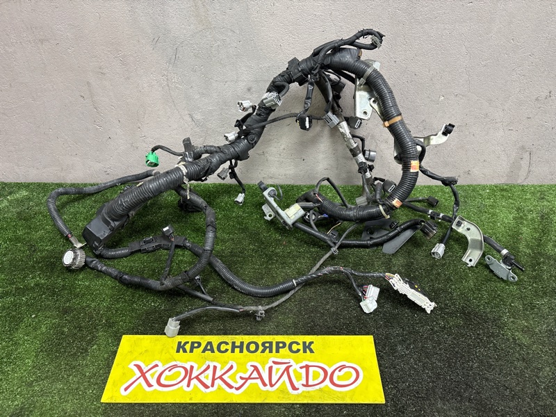 Электропроводка мотора Nissan Murano TZ51 QR25DE 09.2008 (б/у)