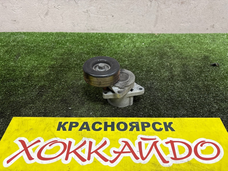 Ролик натяжной приводного ремня Nissan Murano TZ51 QR25DE 09.2008 (б/у)