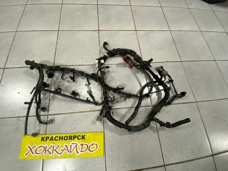 Электропроводка мотора Toyota Wish ZNE10G 1ZZ-FE 09.2005 (б/у)