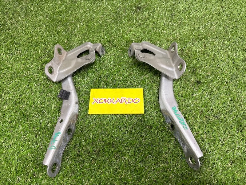 Петля капота Toyota Corolla Fielder ZRE142G 2ZR-FE 10.2006 (б/у)