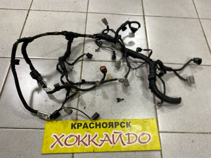 Электропроводка мотора Mitsubishi Dion CR9W 4G63 01.2000 (б/у)