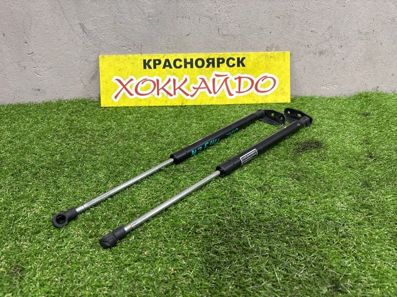 Амортизатор багажника Toyota Corolla Fielder NZE141G 1NZ-FE 10.2006 (б/у)