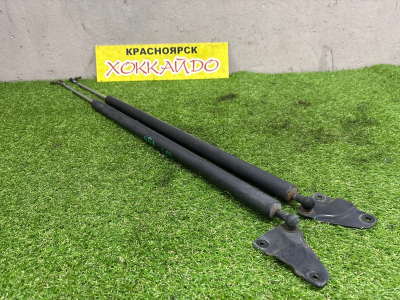 Амортизатор багажника Honda Stepwgn RF1 B20B 05.1999 (б/у)