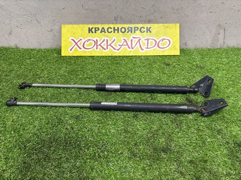 Амортизатор багажника Honda Edix BE1 D17A 07.2004 (б/у)