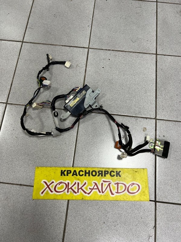 Электропроводка Nissan Serena CNC25 MR20DE 12.2007 задняя правая (б/у)