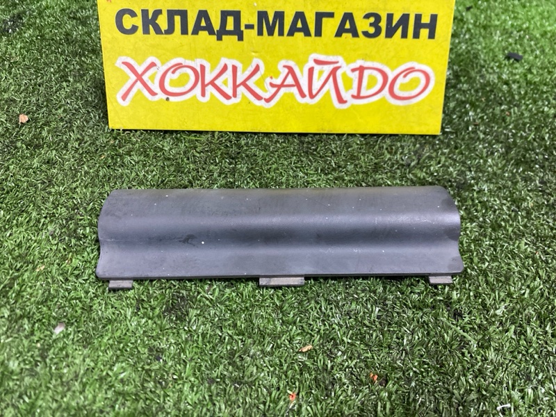 Заглушка рейлинга Honda Stepwgn RF1 B20B 05.1999 (б/у)