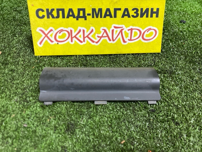 Заглушка рейлинга Honda Stepwgn RF1 B20B 05.1999 (б/у)