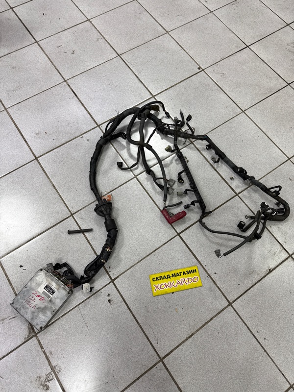 Электропроводка мотора Toyota Wish ZNE10G 1ZZ-FE 01.2003 (б/у)