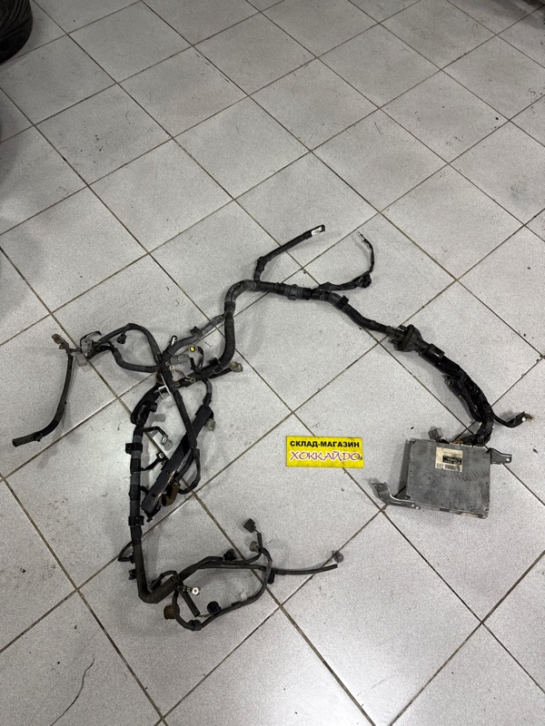 Электропроводка мотора Toyota Wish ZNE10G 1ZZ-FE 09.2005 (б/у)