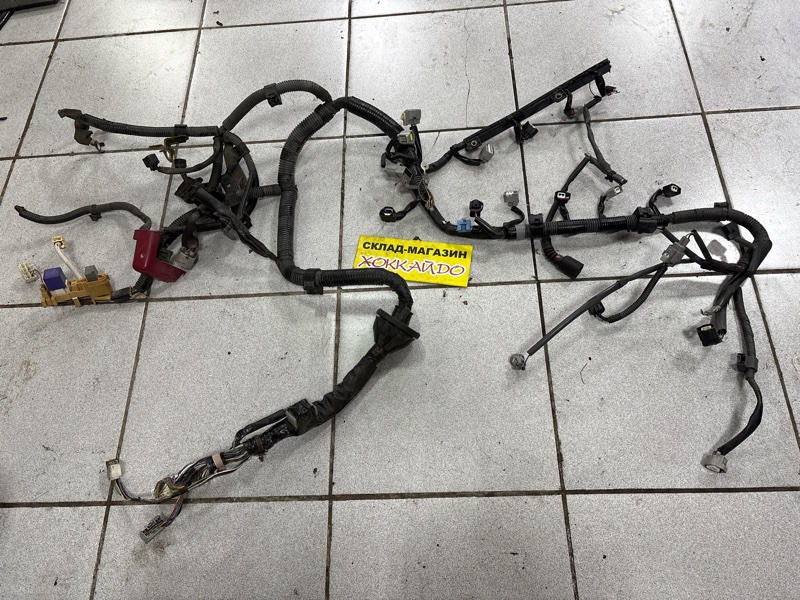 Электропроводка мотора Toyota Allion ZZT245 1ZZ-FE 12.2001 (б/у)