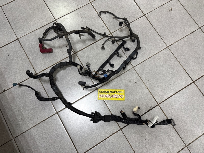 Электропроводка мотора Toyota Wish ZNE10G 1ZZ-FE 09.2005 (б/у)
