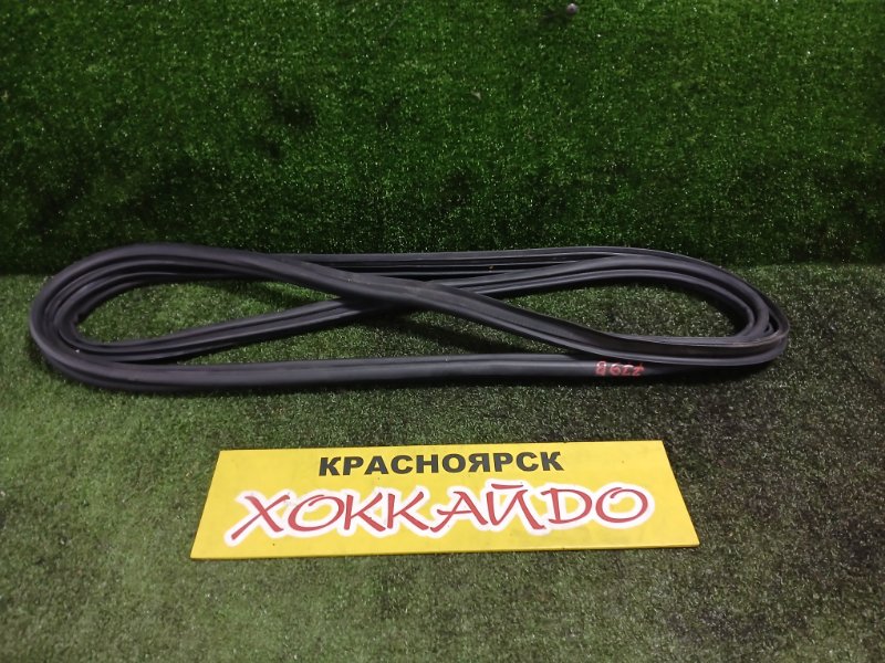 Уплотнитель Toyota Ipsum ACM21W 2AZ-FE 10.2003 задний (б/у)