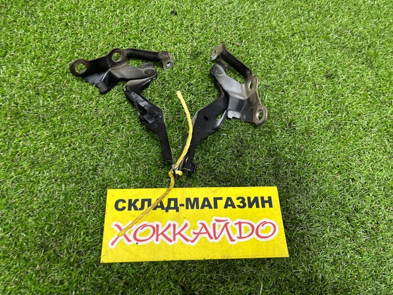 Петля капота Toyota Allex NZE121 1NZ-FE 01.2001 (б/у)