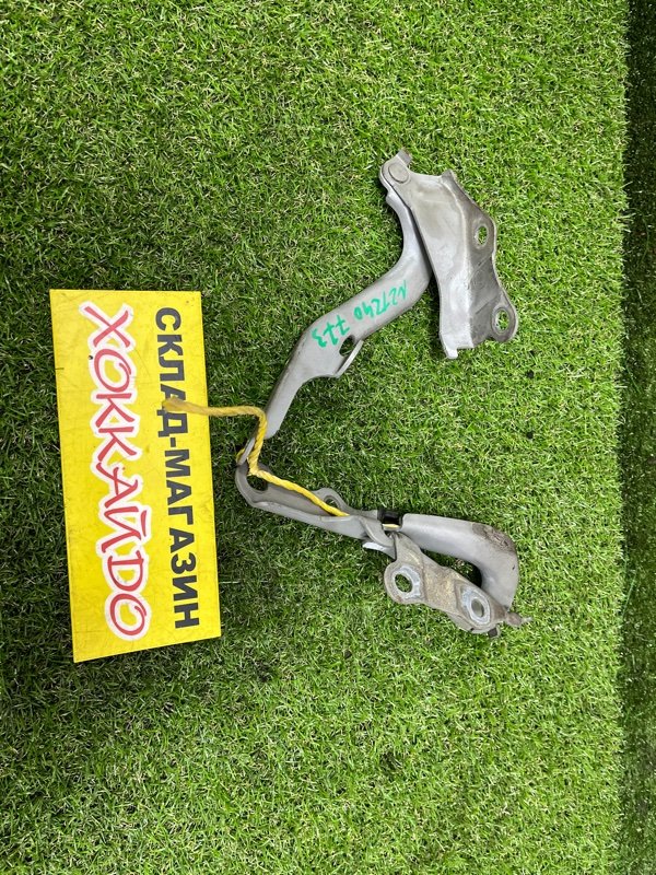 Петля капота Toyota Premio NZT240 1NZ-FE 12.2001 (б/у)