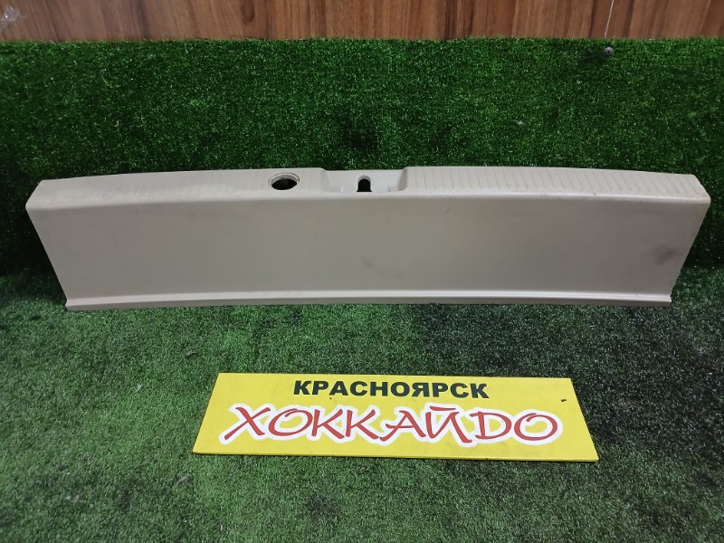 Накладка багажника Toyota Ipsum SXM10G 3S-FE 04.1998 задняя (б/у)